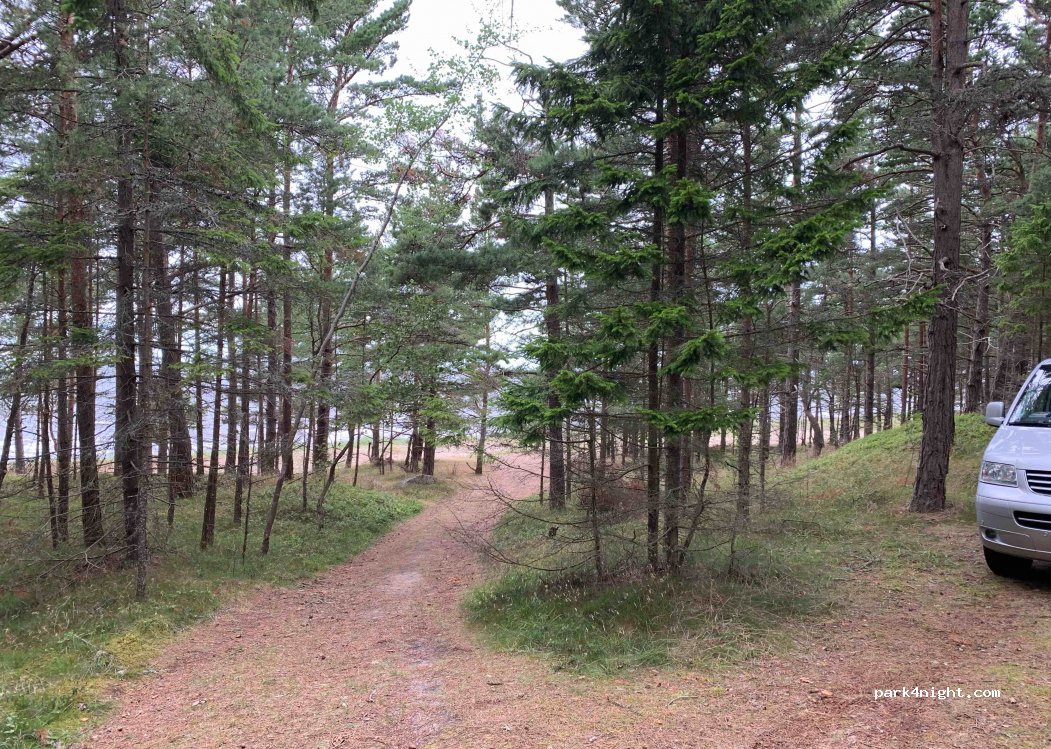 (92226) Tahkuna - Unnamed Road — foto