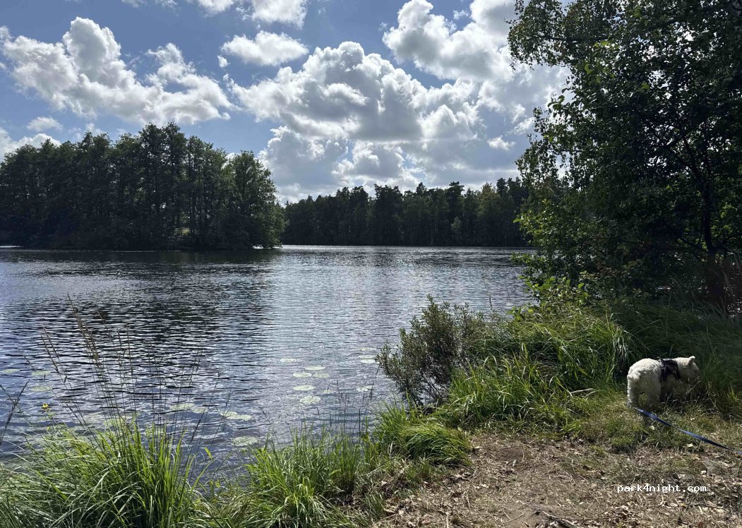 (289 92) Broby - Unnamed Road — foto 4