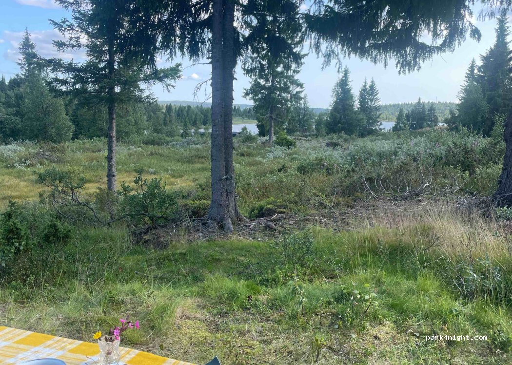 (2635) Tretten - 1028 Østfjellvegen — foto 4