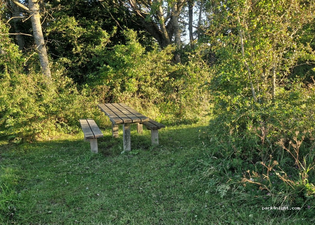 (7770) Vestervig - 1 Lodbjerg Kirkevej — foto 3