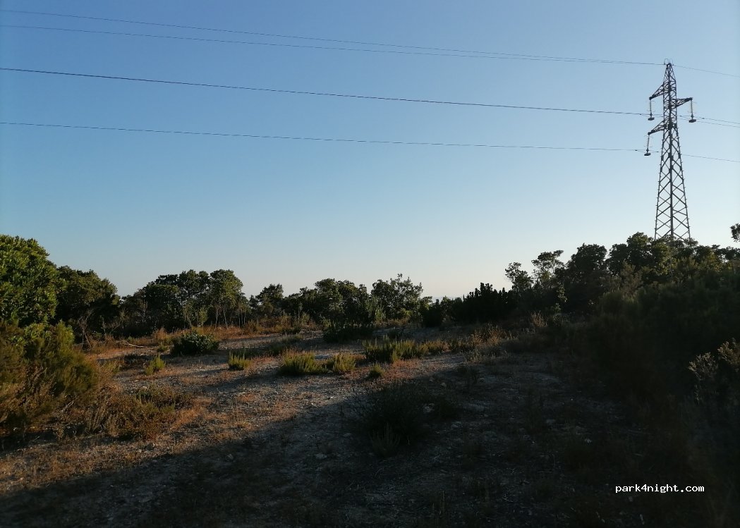 (20246) Santo-Pietro-di-Tenda - D81 — foto 2