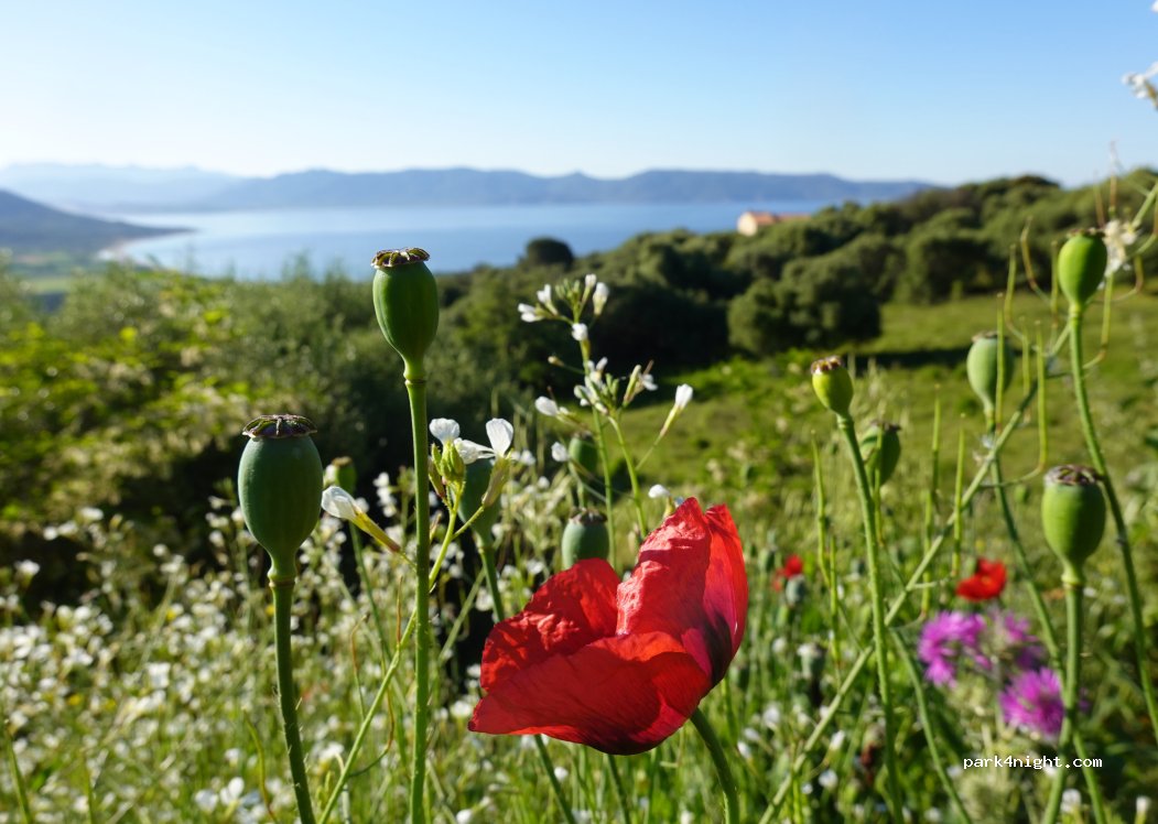 Camping U Turracconu — foto 4