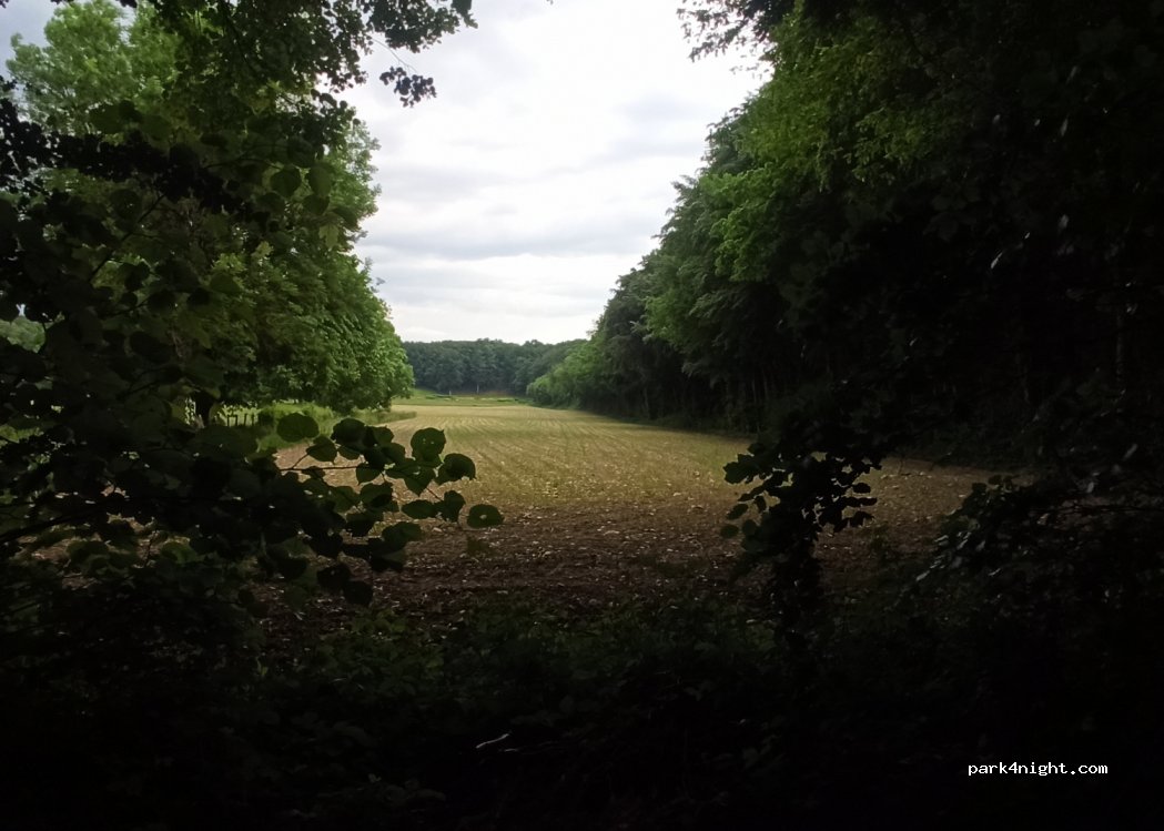 (38690) Oyeu - Chemin des Chartreux — foto 2