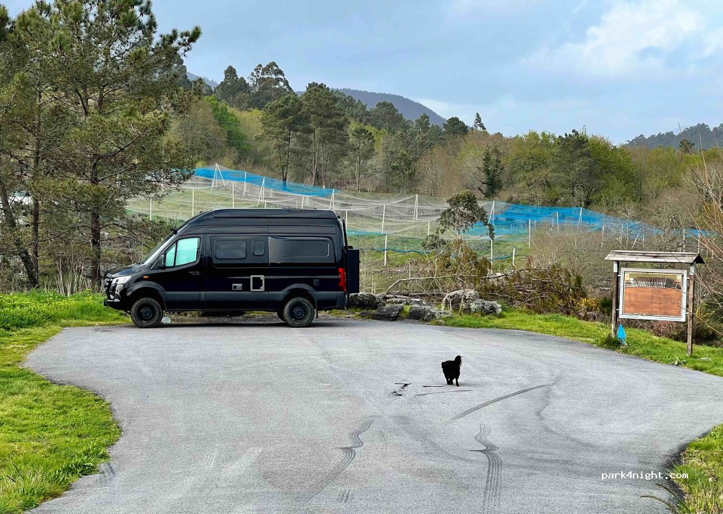 (36120) Calvelo - Unnamed Road — foto