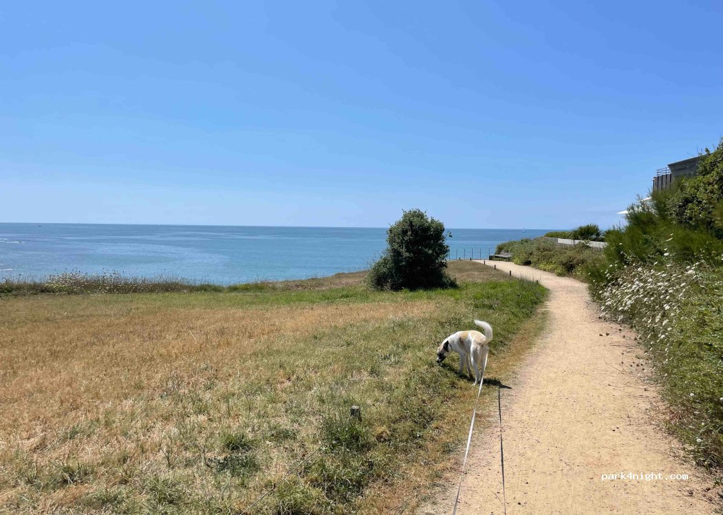 (85180) Les Sables-d'Olonne - 76 Promenade de Cayola — foto 4