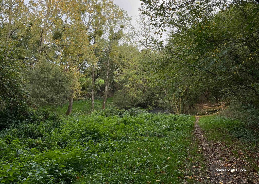 (35220) Saint-Didier - — foto
