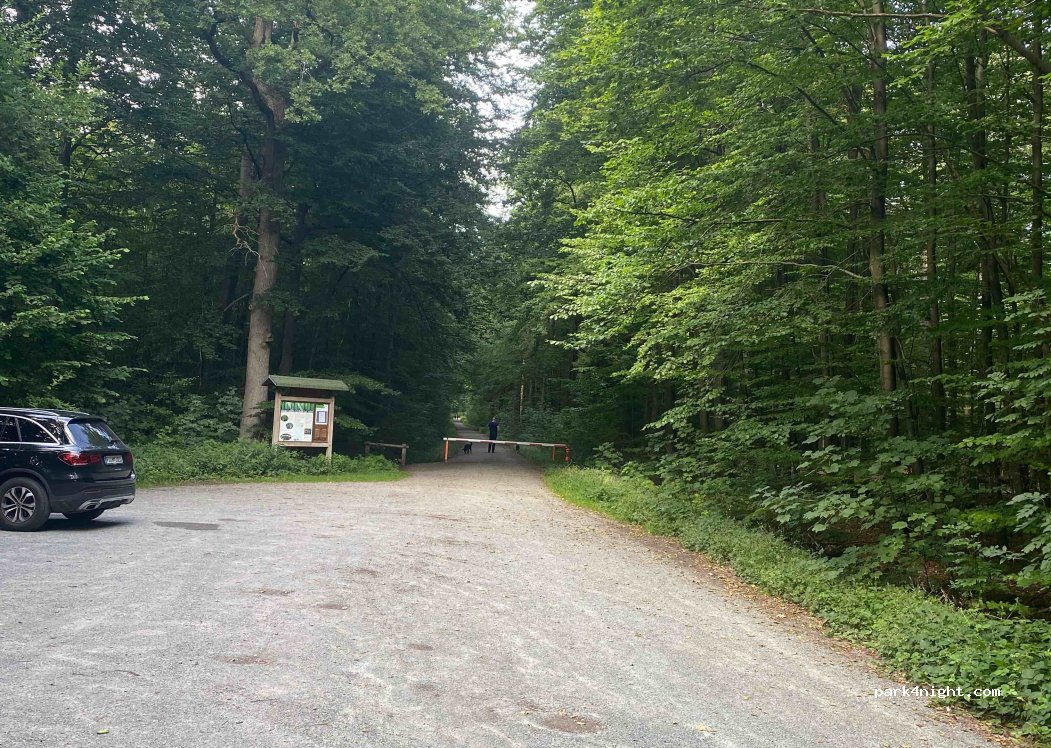 (25495) Kummerfeld - Waldweg — foto
