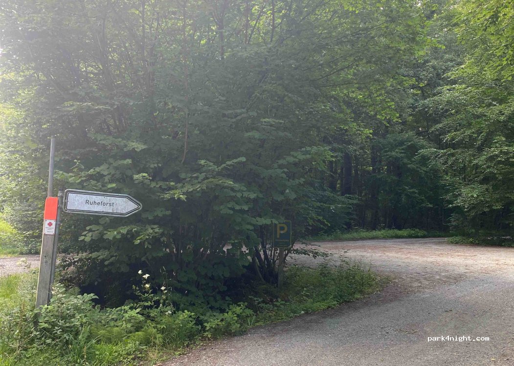 (25495) Kummerfeld - Waldweg — foto 2