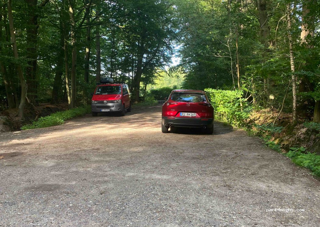 (25495) Kummerfeld - Waldweg — foto 3