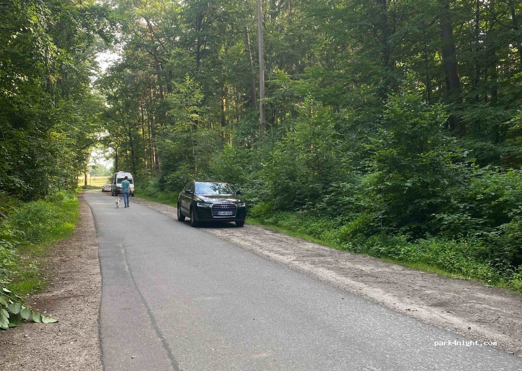 (25495) Kummerfeld - Waldweg — foto 4