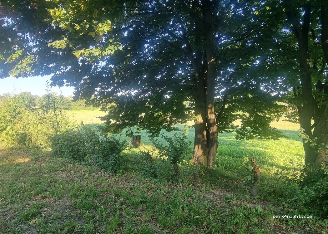 (4600) Wels - 14 Otto-Loewi-Straße — foto 3