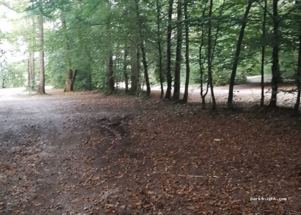 (82549) Königsdorf - 25 Wiesen — foto 2