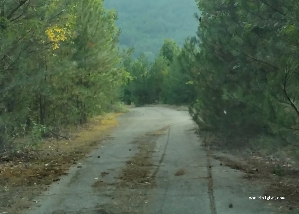 (2061) Gigovo ravnishte - — foto