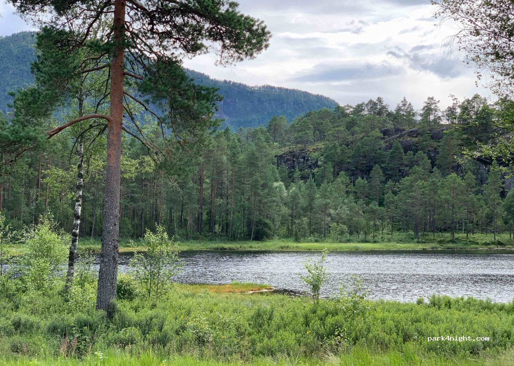 (6800) Førde - Sekundær Fylkesvei 13 — foto 2