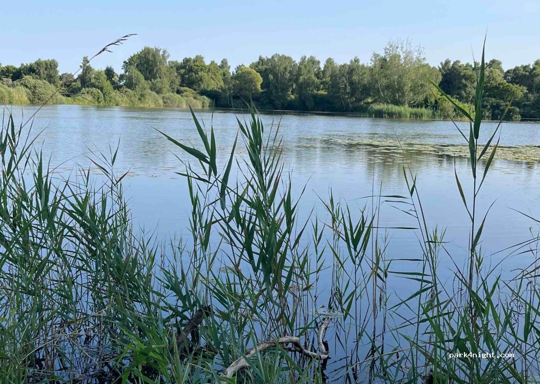 (51270) Villevenard - — foto 2
