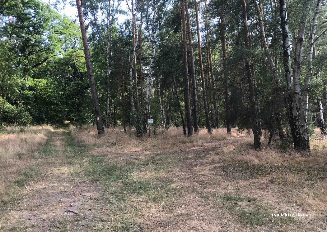 (14806) Bad Belzig - — foto