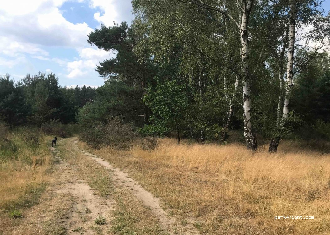 (14806) Bad Belzig - — foto 2