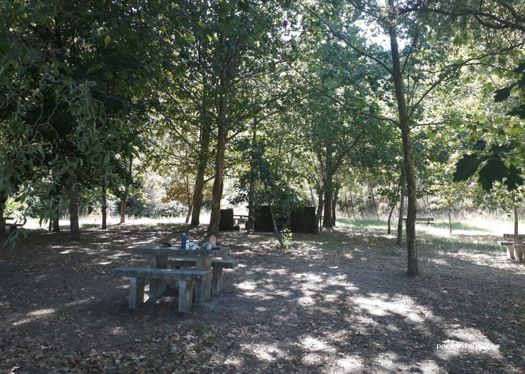 (3670) Vouzela - N228 — foto