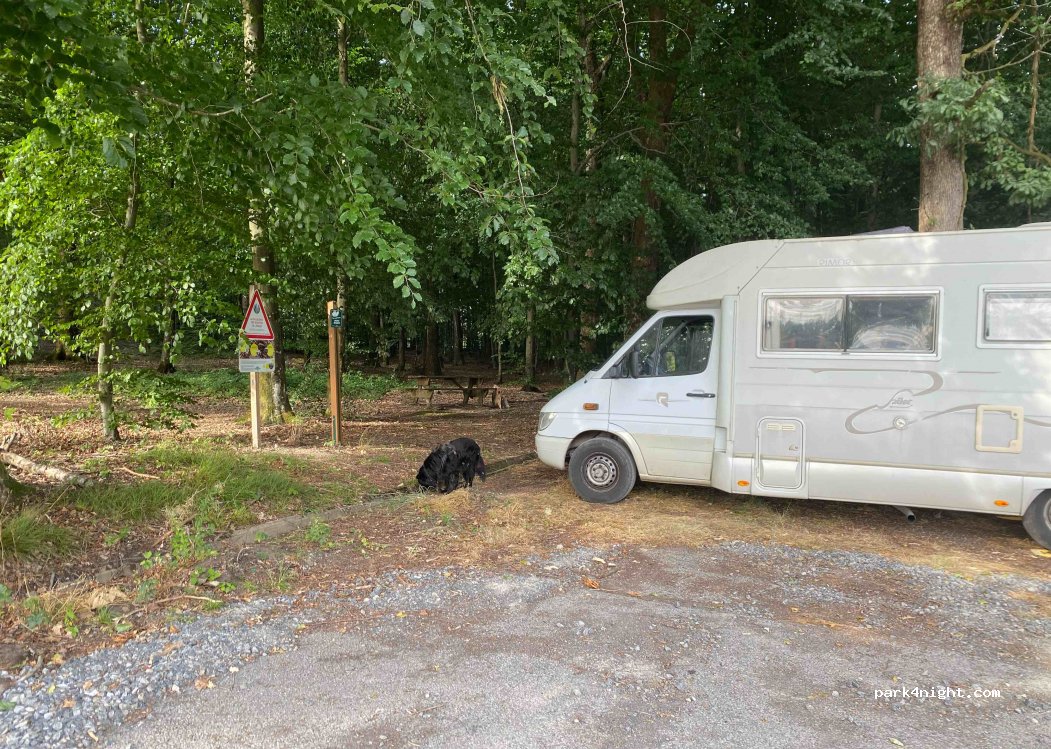 (08800) Les Hautes-Rivières - — foto 2