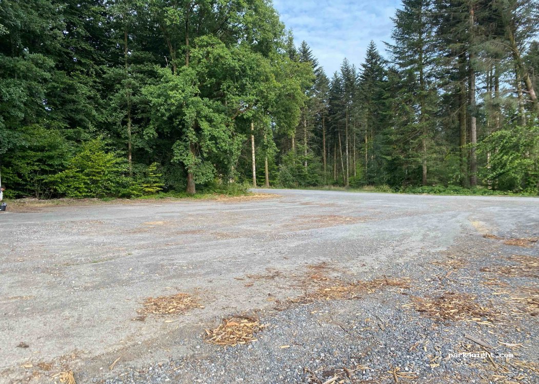 (08800) Les Hautes-Rivières - — foto 3