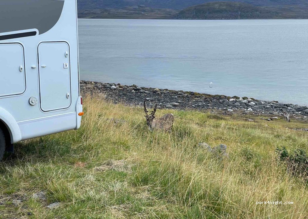 (9620) Kvalsund - 34-54 Sekundær Fylkesvei 8030 — foto 2