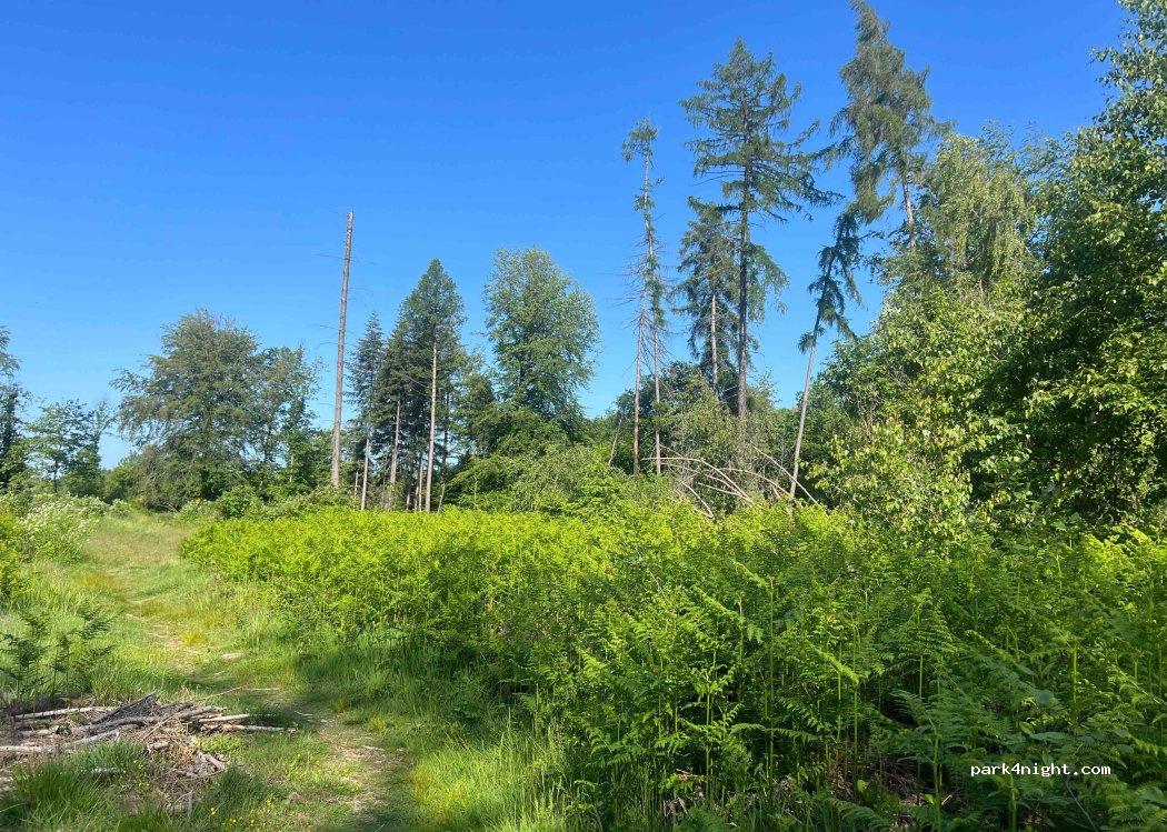 (66773) Schwalbach - Unnamed Road — foto 3