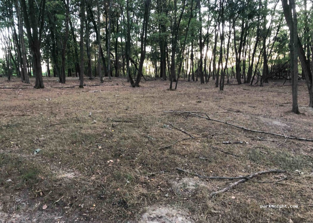 (10080) San Benigno Canavese - Unnamed road — foto
