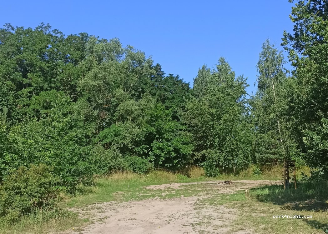 (70-790) Szczecin - 3 Olszynki Grochowskiej — foto 2