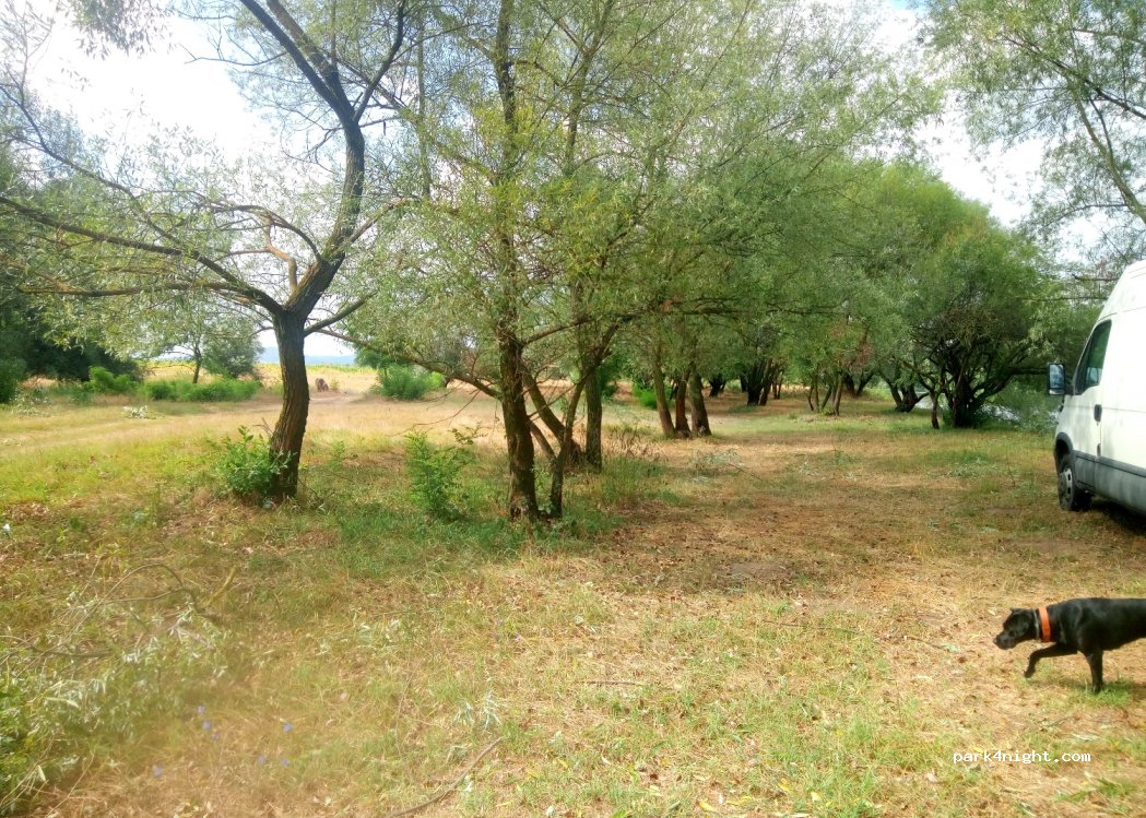 (457257) Someș-Guruslău - — foto