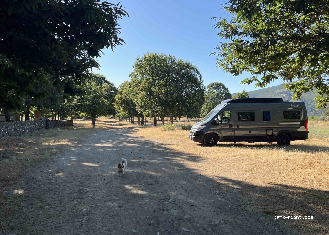 (49358) San Justo - 1 Diseminado Rabano Sanabria — foto 5