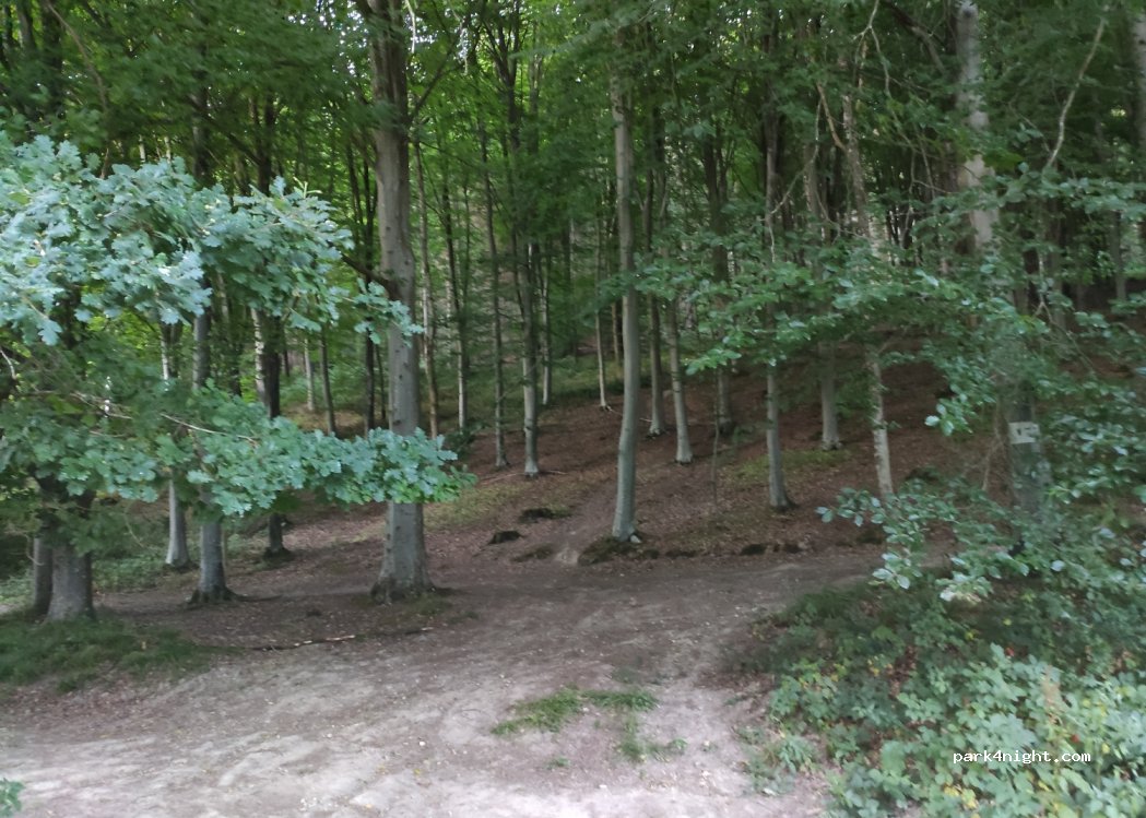 (76490) Maulévrier-Sainte-Gertrude - — foto 2