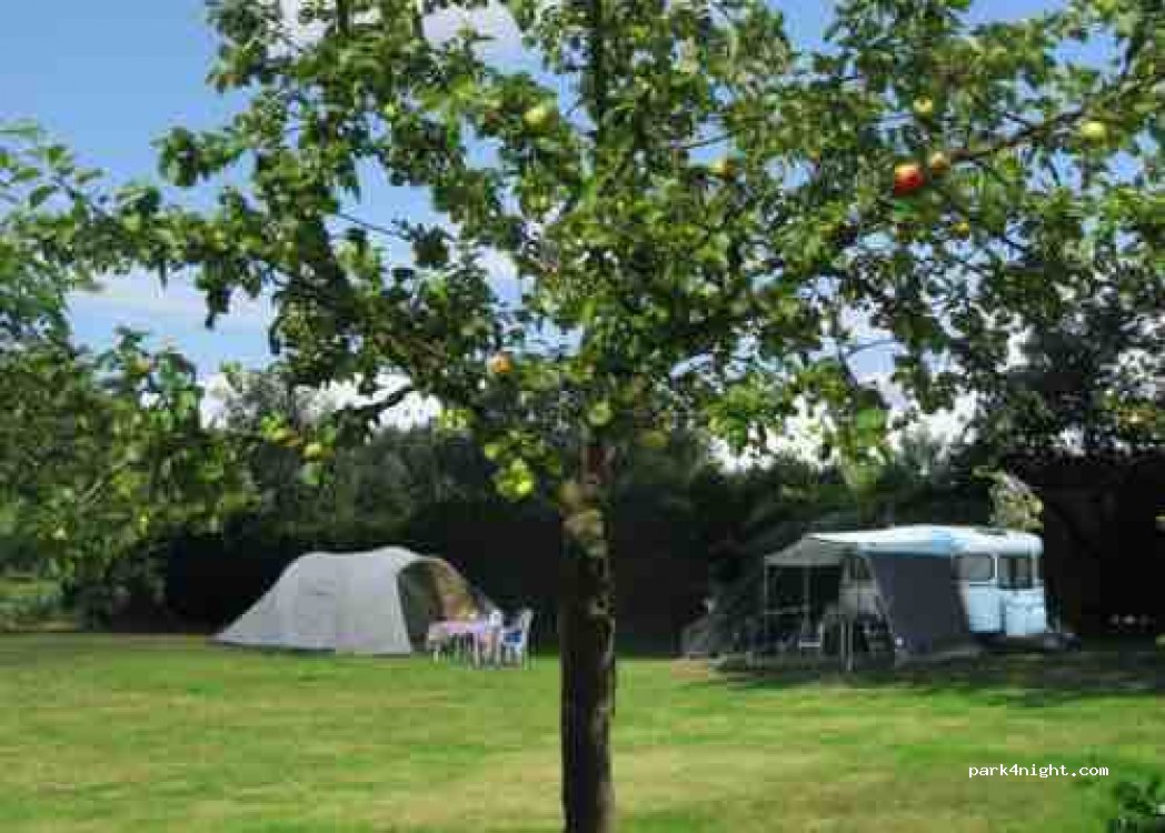 De Rozenhorst - Camping en Vakantiehuisjes — foto 3