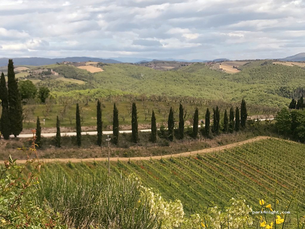 Fattoria della Aiola — foto 3