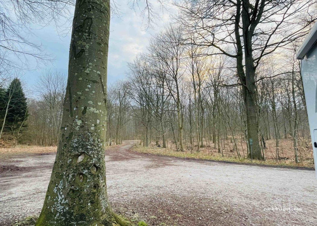 (8543) Hornslet - 10 Slotsvej — foto 3