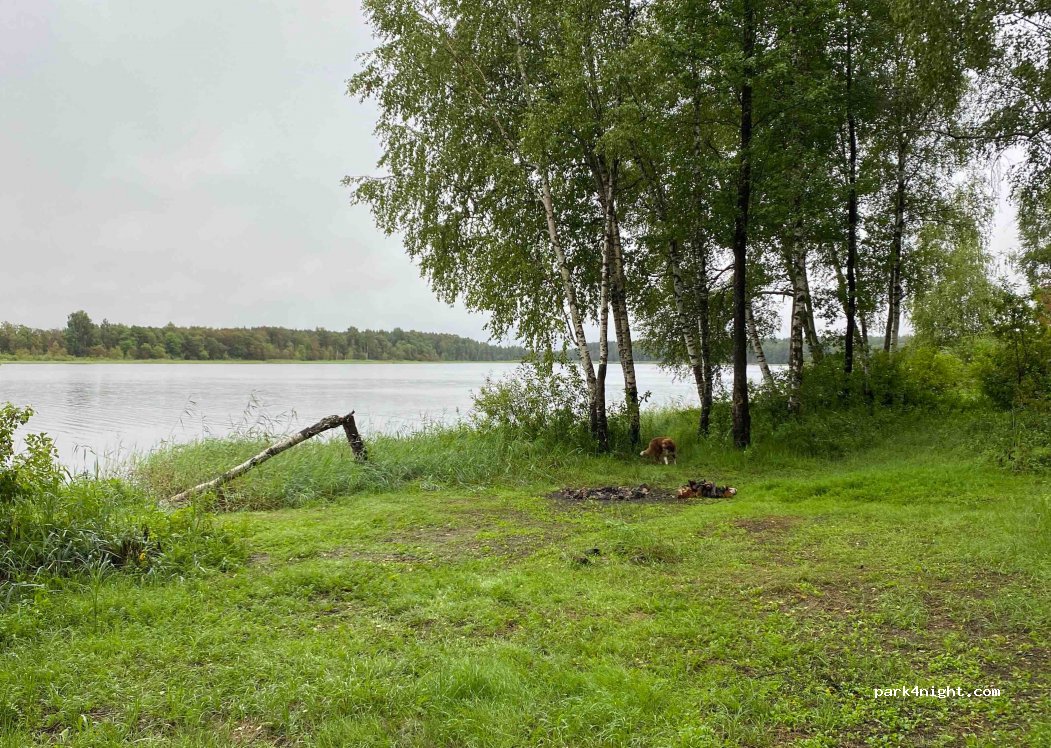 (86460) Kaimalė - — foto 2