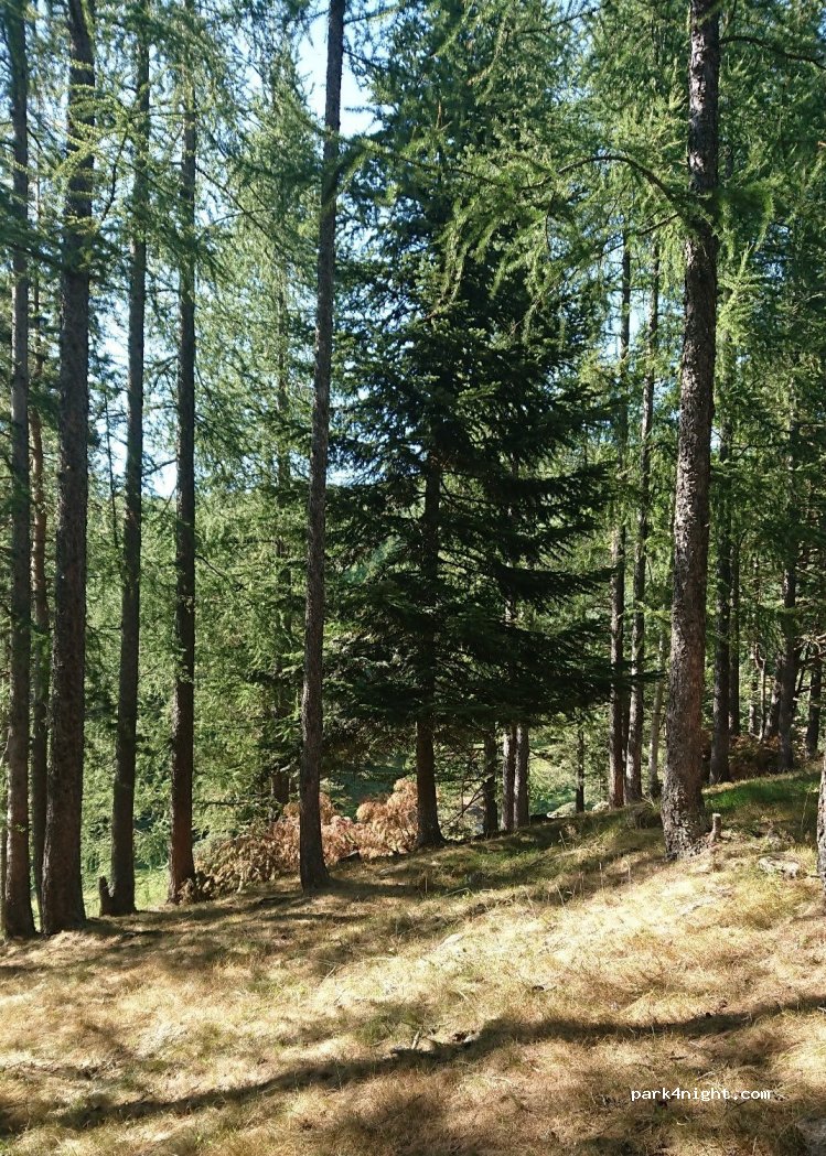 (10065) Pramollo - Unnamed Road — foto 3