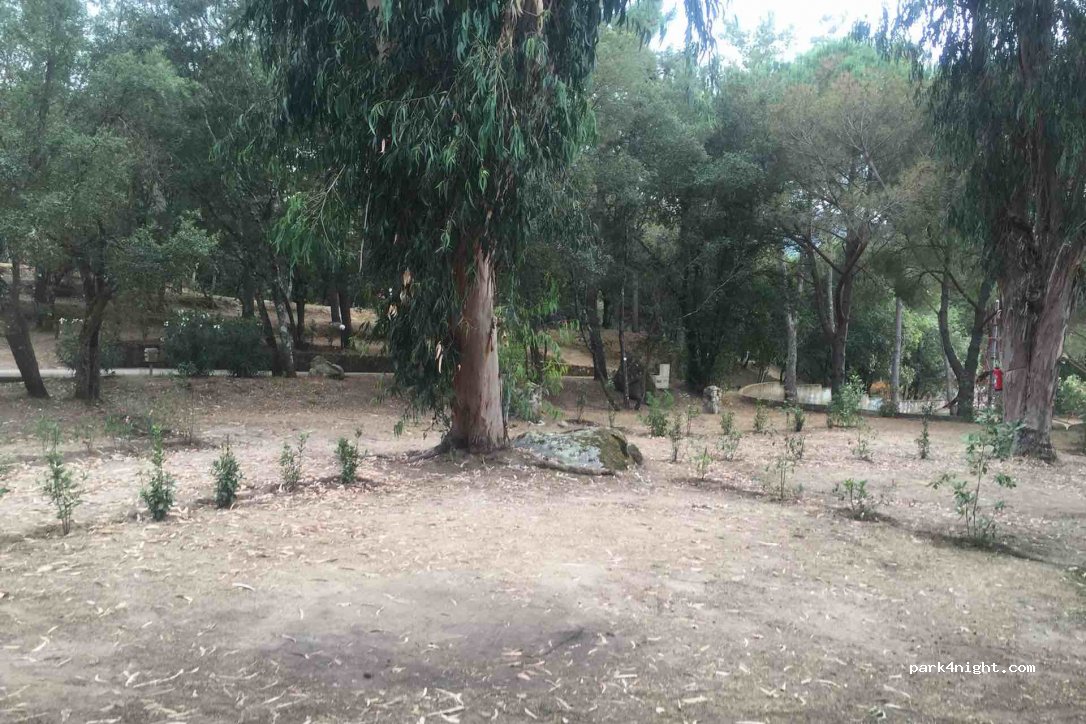 Camping Olva*** — foto