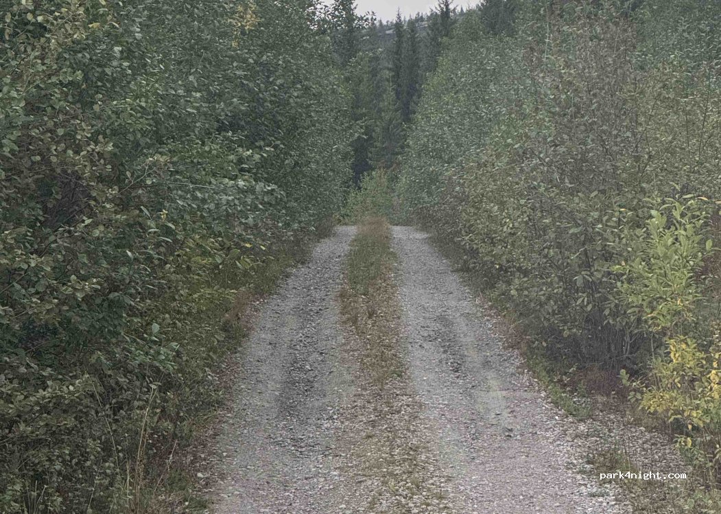 () Sjårdalen - Fv438 — foto 2