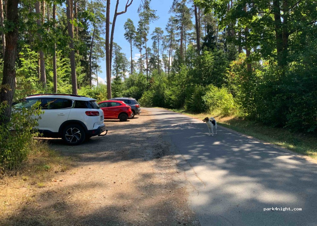 (92237) Sulzbach-Rosenberg - Unnamed Road — foto 2