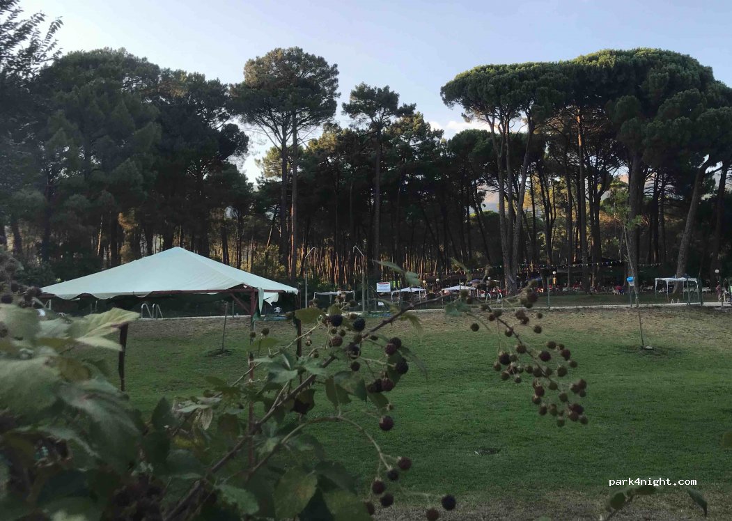 (05430) La Adrada - Unnamed Road — foto