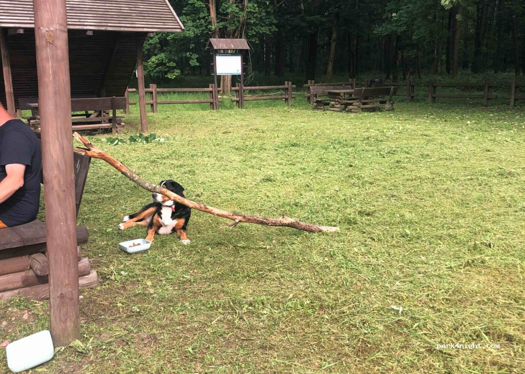 (78-121) Wierzbka Dolna - 112 — foto 3