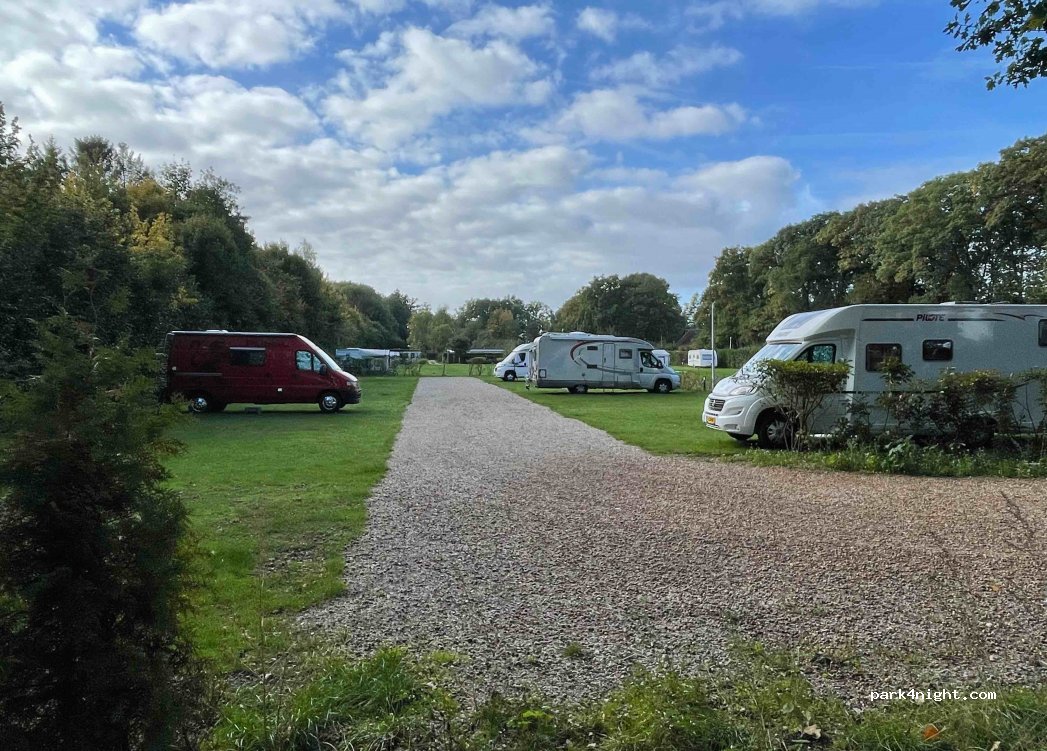 Het Eperwoud — foto 4