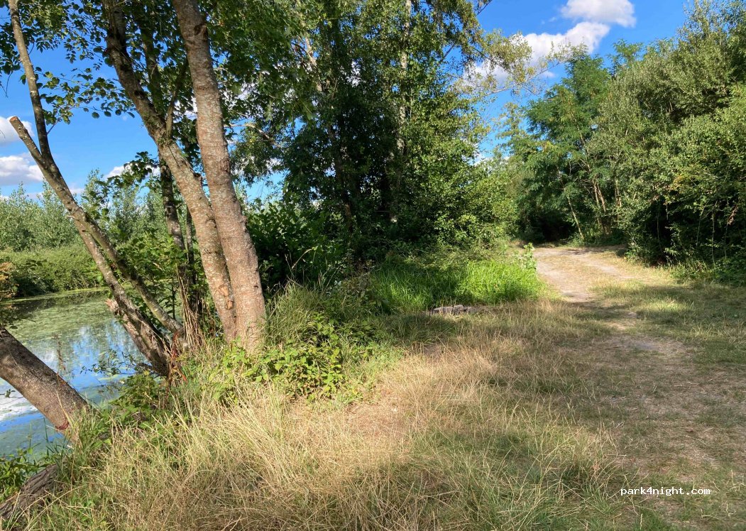 (41120) Le Controis-en-Sologne - Unnamed Road — foto
