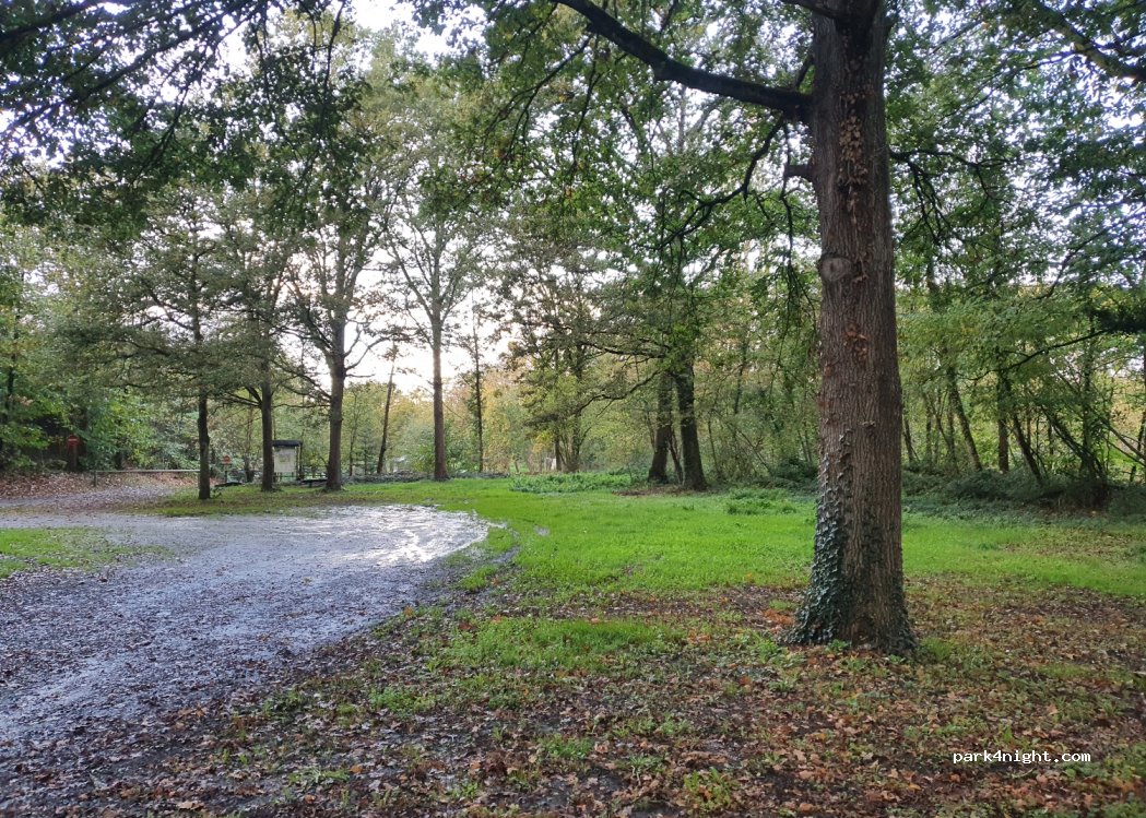 (49520) Segré-en-Anjou Bleu - Unnamed Road — foto