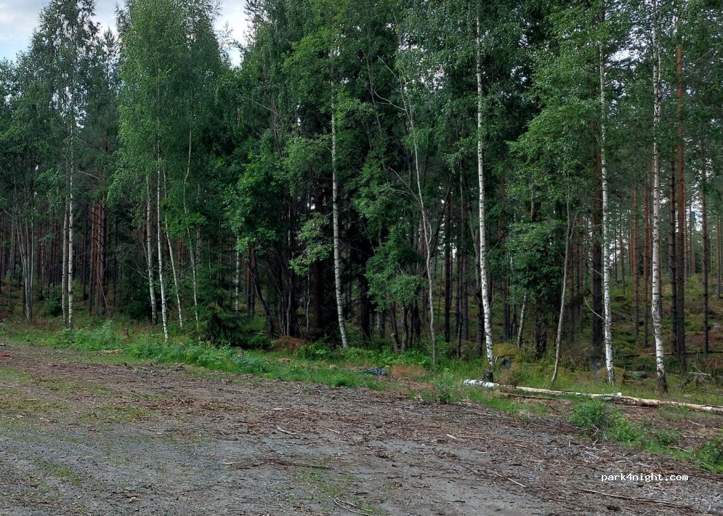 (791 94) Falun - Unnamed Road — foto