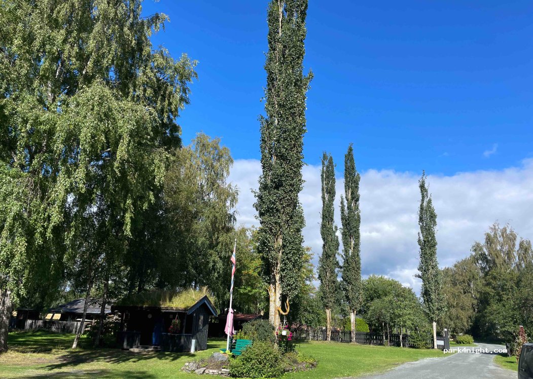 Soria Moria Camping — foto 4