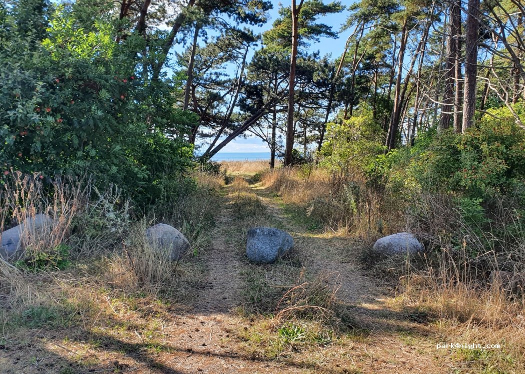 (380 65) Årsvik - Unnamed Road — foto 2
