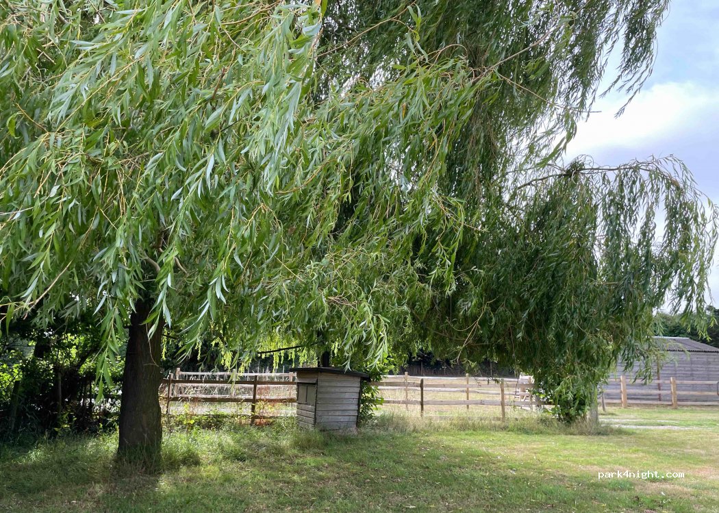 Cobbs Meadow Caravan CL — foto