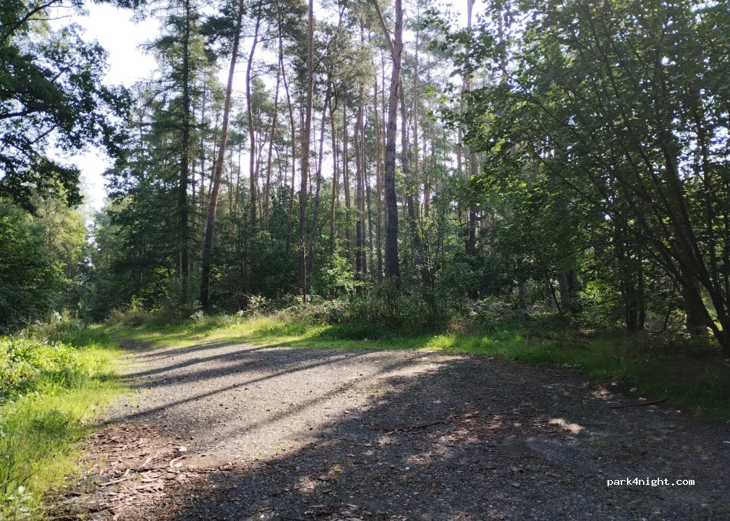 (35394) Gießen - 12 Monroestraße — foto 2