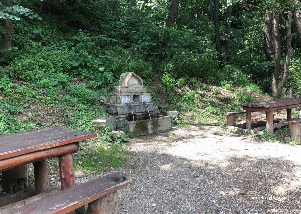 (125104) Lunca Priporului - DN10 — foto